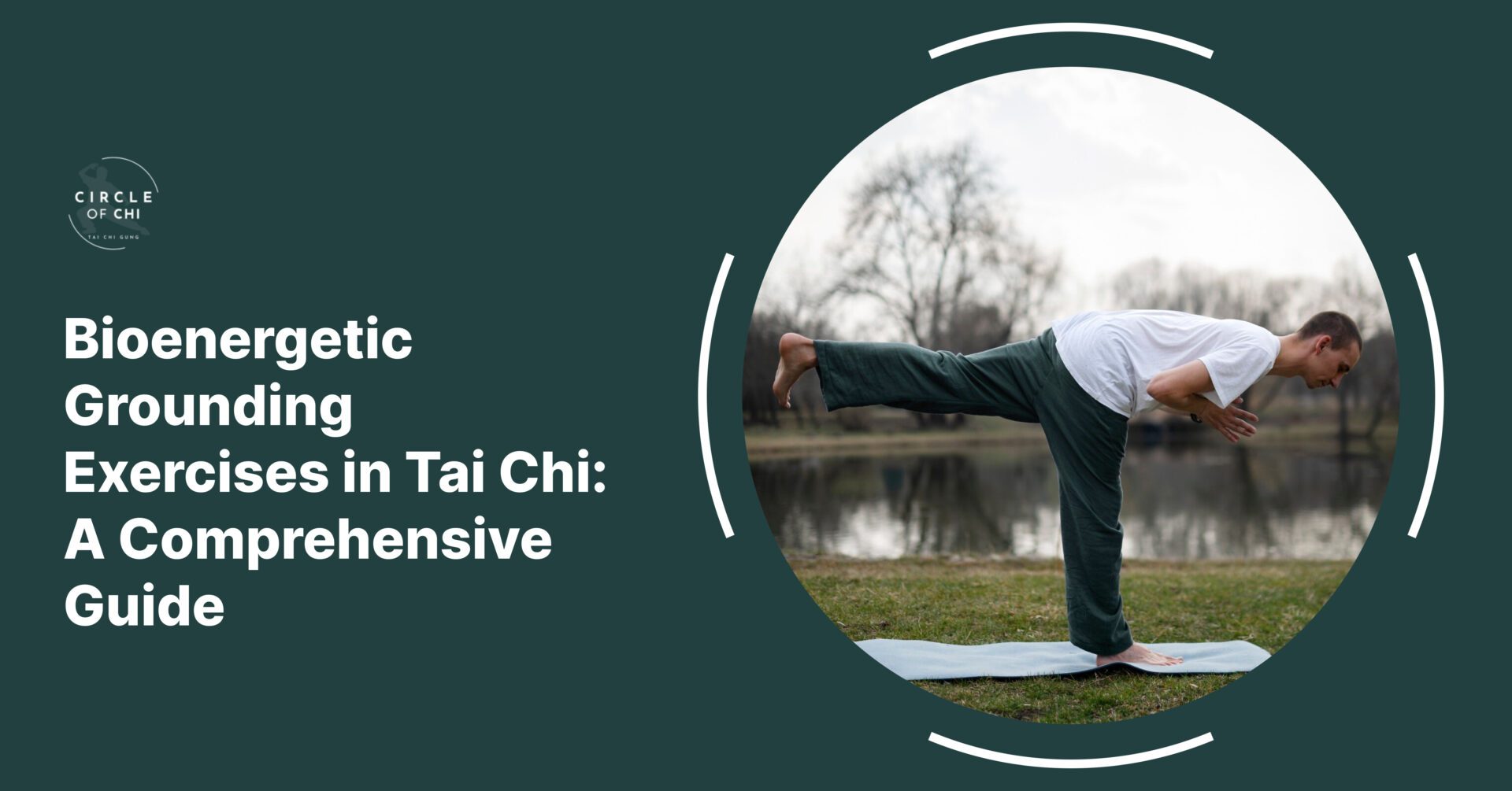 Bioenergetic Grounding Exercises in Tai Chi: A Comprehensive Guide